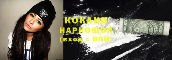 прущие грибы Арсеньев