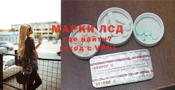 прущие грибы Арсеньев