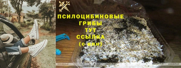эйфоретик Аркадак