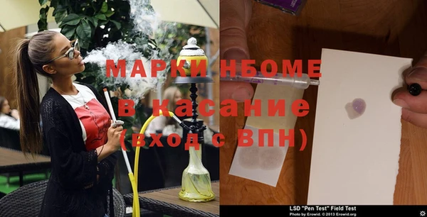 прущие грибы Арсеньев