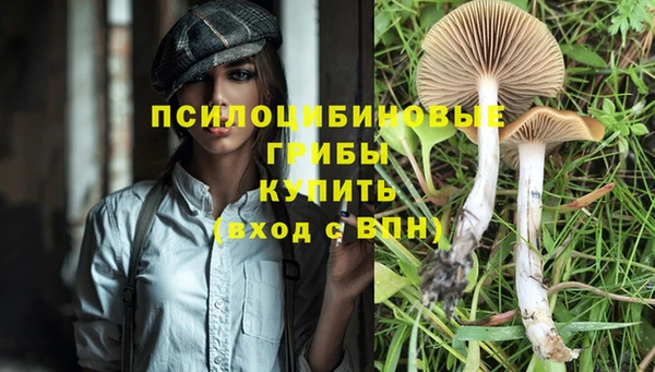 прущие грибы Арсеньев