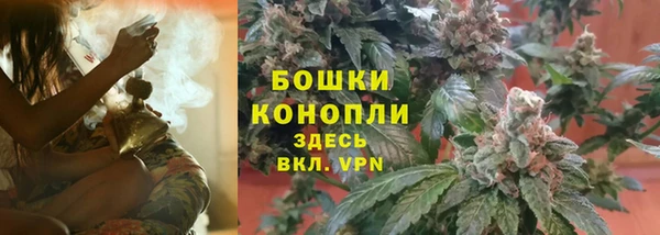 эйфоретик Аркадак