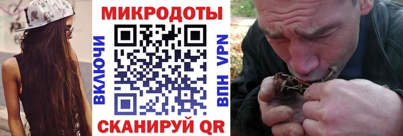 хочу наркоту  Пучеж  Псилоцибиновые грибы MAGIC MUSHROOMS 